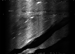 ascat_grayscale_ch3.png